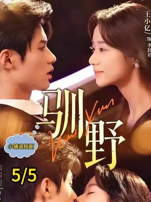 长夜衔星 热播古装电视剧全集在线观看